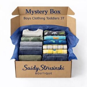 Boys Toddler 3T Mystery Box Bundle 10 Pieces Stylish & Gently Loved